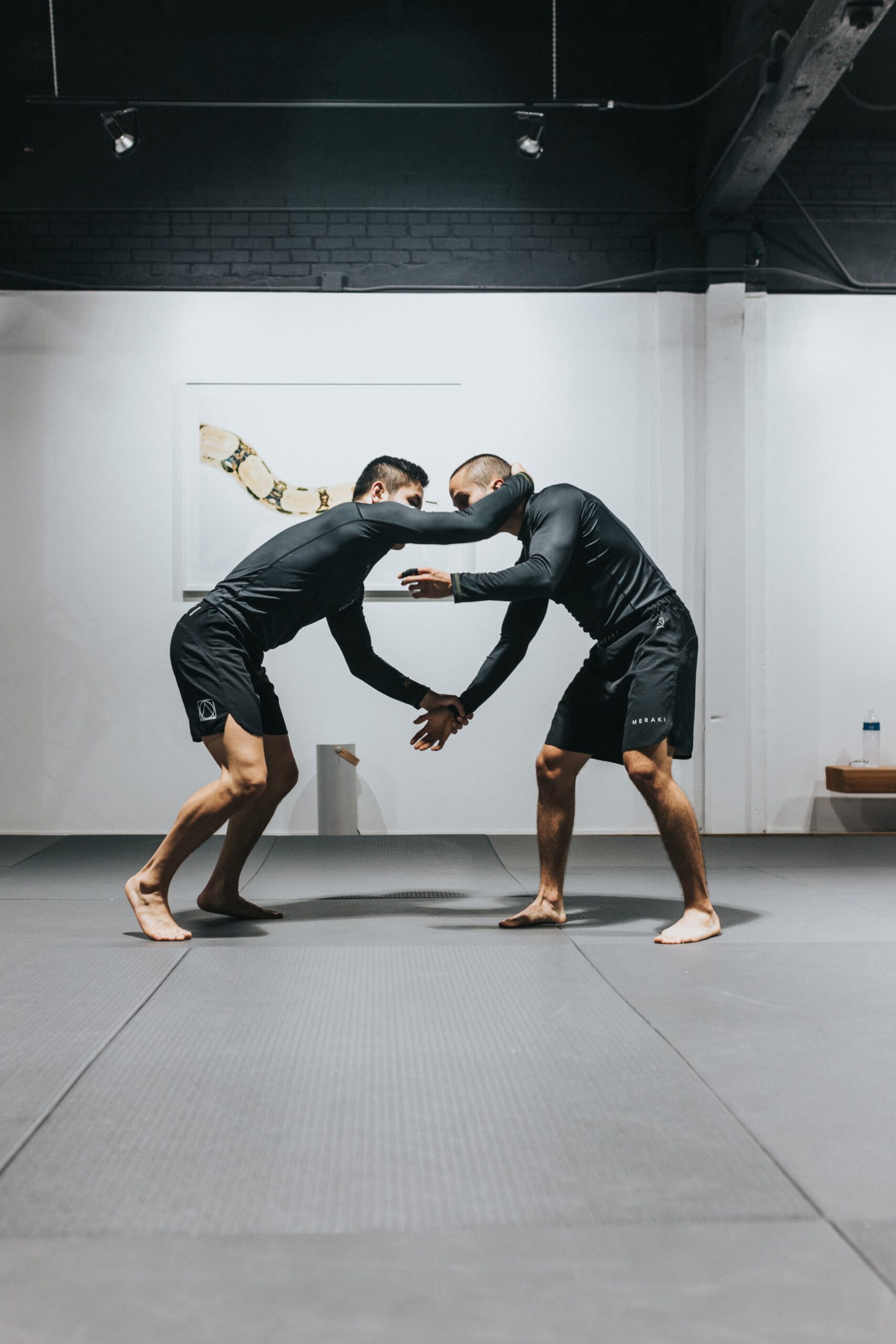 Build Your Own Martial Arts Studio For Practice at Home